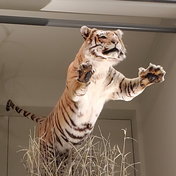 Meet your Posher, Sarah - Picture 5 of 5